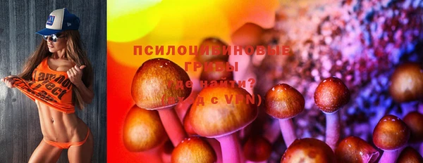 ПСИЛОЦИБИНОВЫЕ ГРИБЫ Киреевск