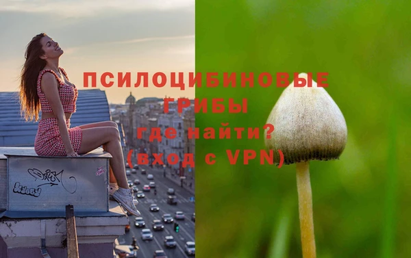 не бодяженный Сатка