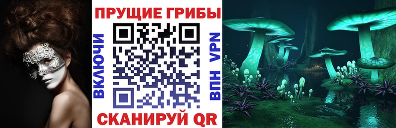 купить наркотики цена KRAKEN ССЫЛКА Псилоцибиновые грибы Psilocybe Южноуральск