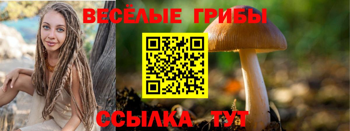 Южноуральск  Галлюциногенные грибы мухоморы  Вход с VPN 